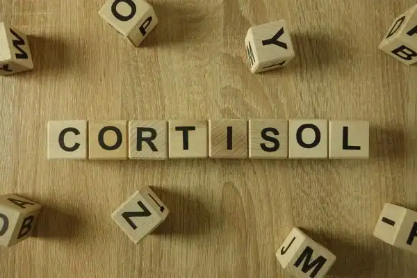 The Hidden Connection: How Stress Shapes Your Fitness and Body Composition 2 Image saying "Cortisol" and how stress Weymouth impacts your wellbeing and bodies shape